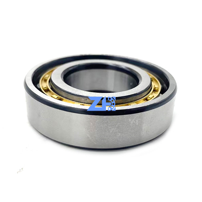 RN206ECM নলাকার রোলার বিয়ারিং 30*55.5*16mm কঠিন পরিধানকারী একক সারি নলাকার রোলার বিয়ারিং