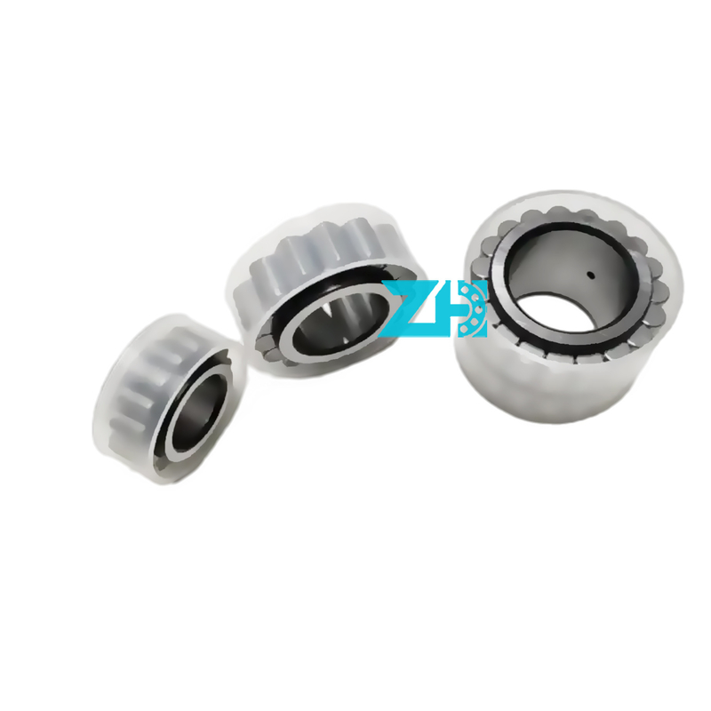 সিলিন্ড্রিকাল রোলার লেয়ারিং F-209774.06 F-209774 ডাবল রোলার লেয়ারিং50X82x34mm অনলাইন সহায়তা, পেশাদার পরিষেবা