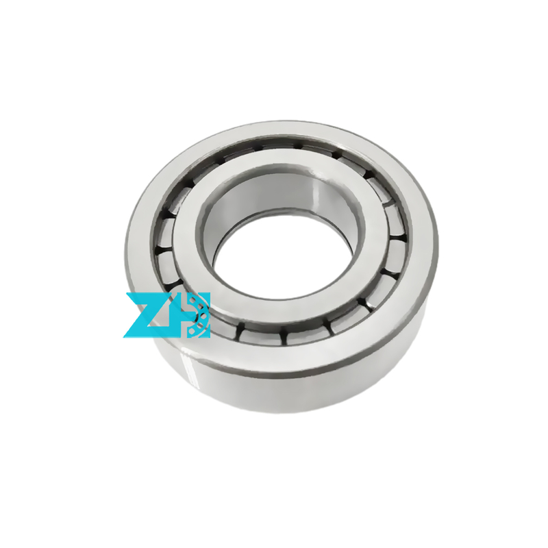 হাইড্রোলিক পাম্প লেয়ার F-203740.nup 25x54x21mm একক সারির সিলিন্ডারিক রোলার লেয়ার F-203740