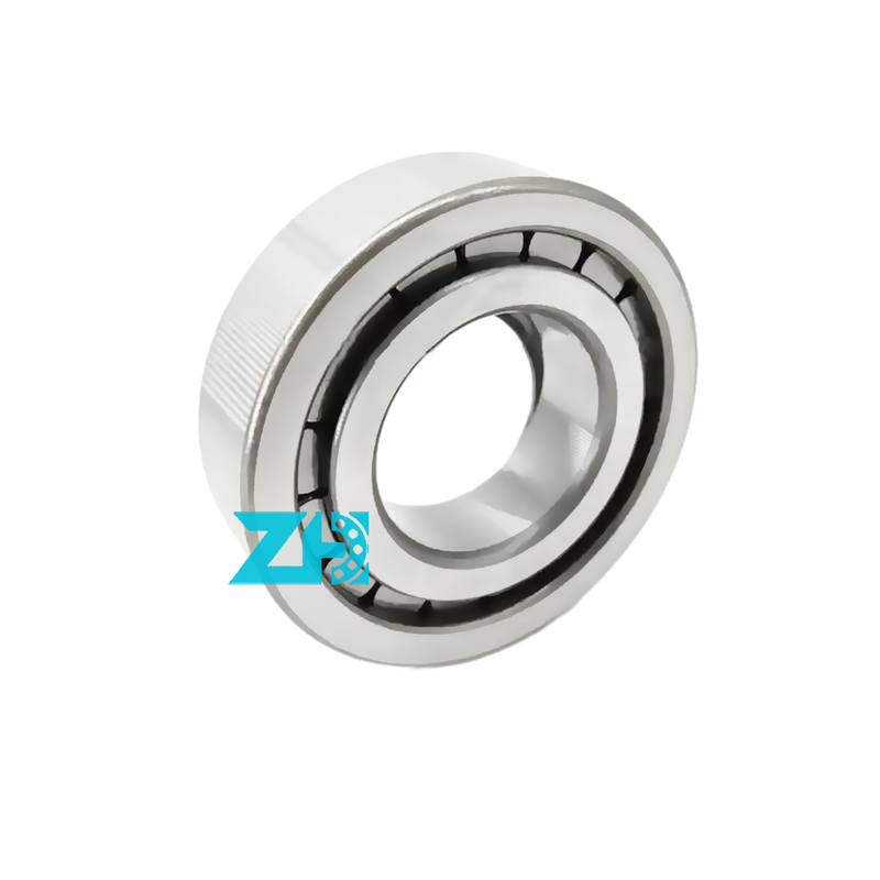 হাইড্রোলিক পাম্প লেয়ার F-203740.nup 25x54x21mm একক সারির সিলিন্ডারিক রোলার লেয়ার F-203740