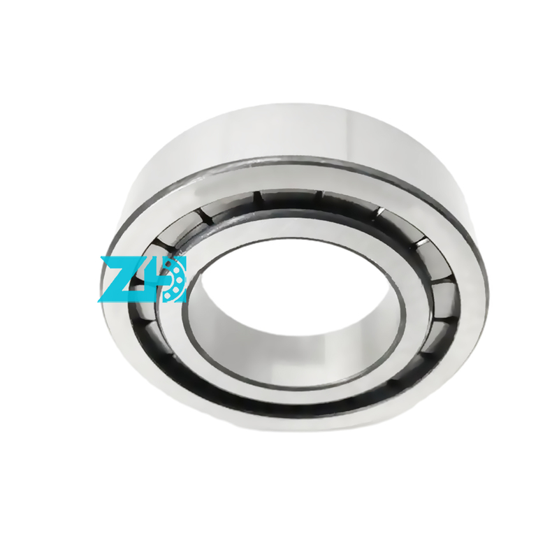 হাইড্রোলিক পাম্প লেয়ার F-203740.nup 25x54x21mm একক সারির সিলিন্ডারিক রোলার লেয়ার F-203740