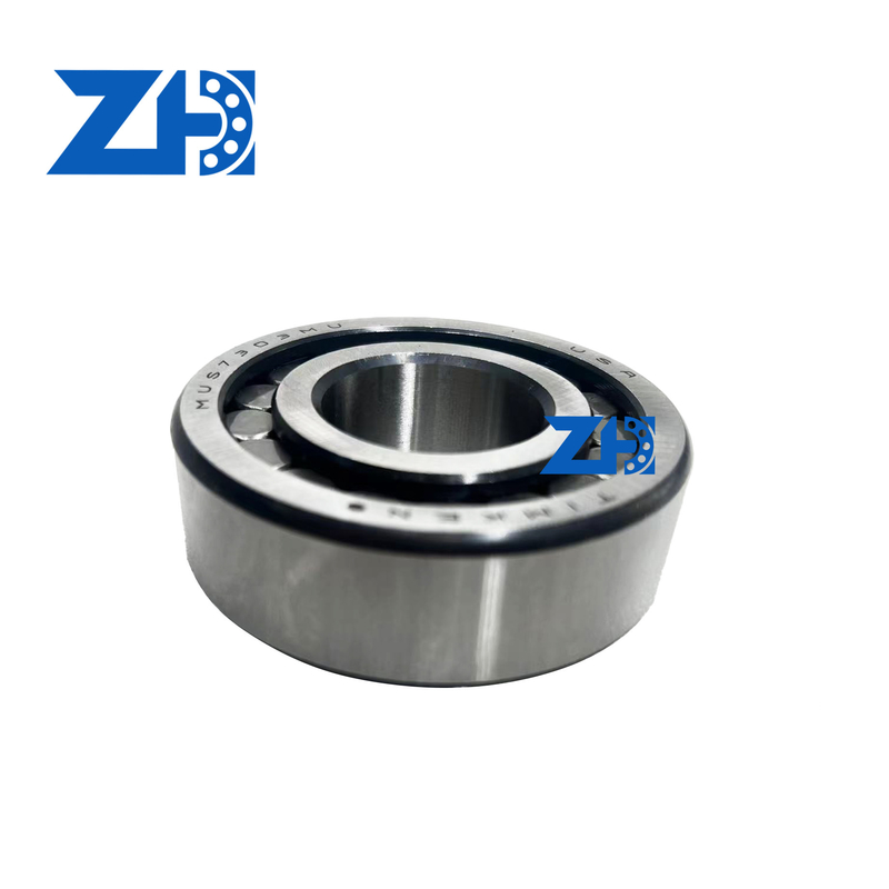 MUS7303 সুনির্দিষ্ট সরঞ্জামগুলিতে উচ্চ লোড বহন ক্ষমতা জন্য স্থিতিশীল সিলিন্ডারিক রোলার ভারবহন