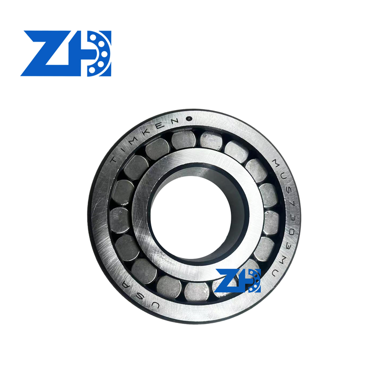 MUS7303 সুনির্দিষ্ট সরঞ্জামগুলিতে উচ্চ লোড বহন ক্ষমতা জন্য স্থিতিশীল সিলিন্ডারিক রোলার ভারবহন