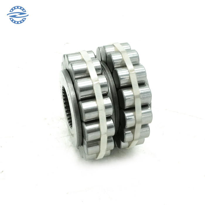 রেডুসার সাইজ 45×100×68mm এর জন্য ZH ব্র্যান্ডের এককেন্দ্রিক বিয়ারিং 2LV45-1AG